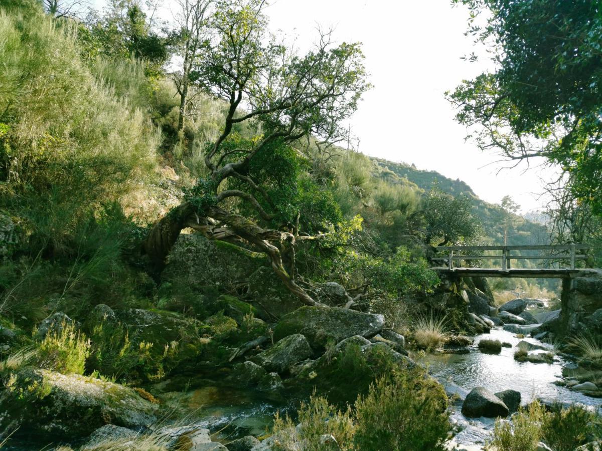 Casa Do Lago - Gerês Extérieur photo